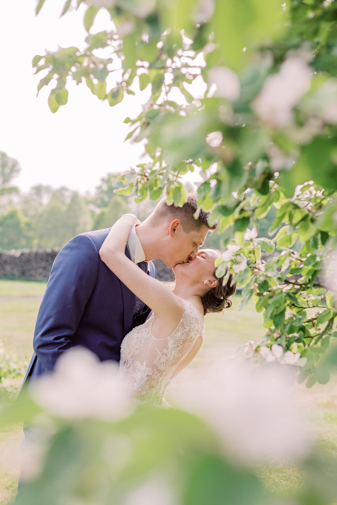 Hochzeitspaar küsst sich unter blühenden Obstbäumen